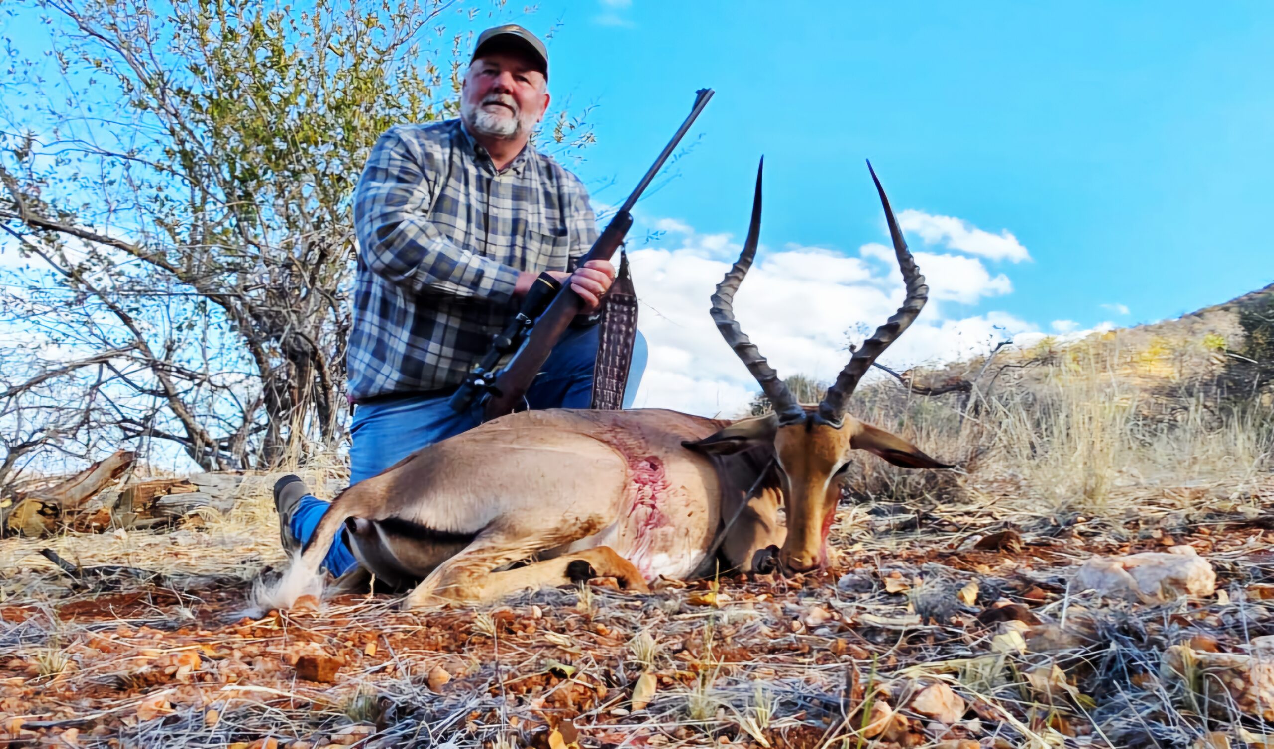 Impala during hunting safari in South Africa
