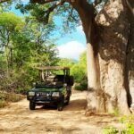all inclusive hunting safari south africa