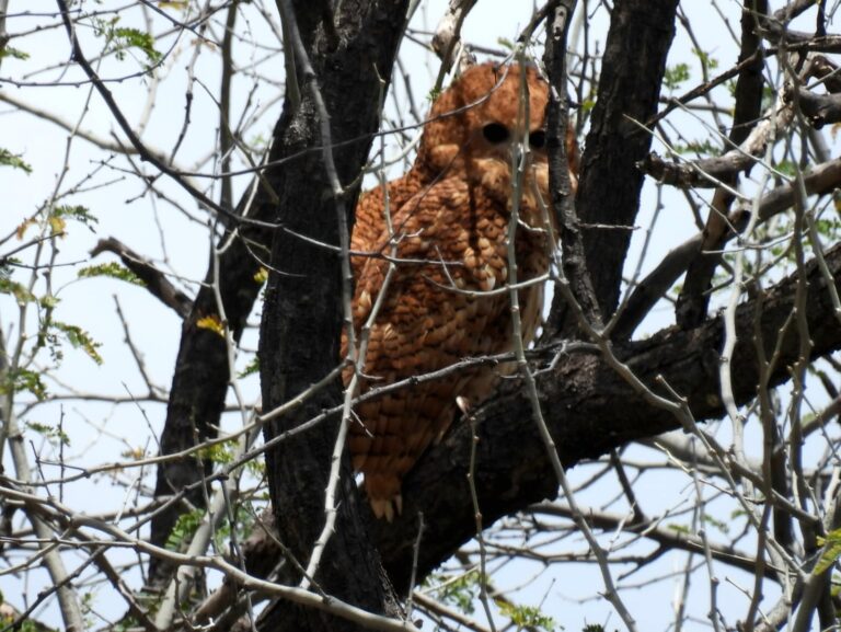 PHOTO-2025-07-04-11-33-44